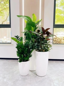 宁波海曙绿化养护公司，专业呵护城市绿色风景线